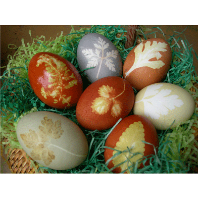 oeufs peinture végétale